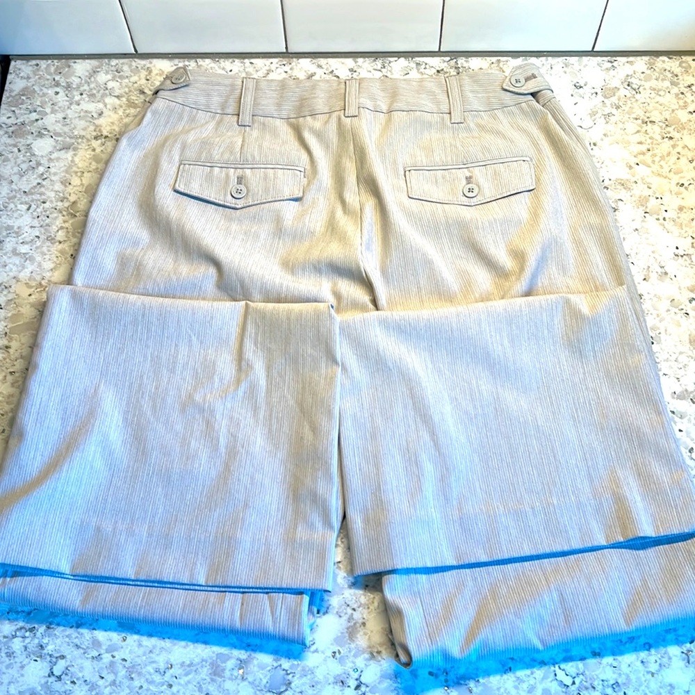 Like New Express Editor Light Gray With Pinstripe… - image 4